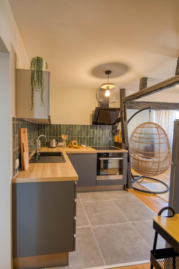 Appartement Le Verdoyant Hyper Centre Avec Sauna Et Parking Colmar Ngoại thất bức ảnh