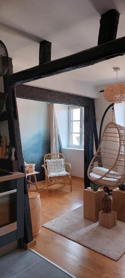 Appartement Le Verdoyant Hyper Centre Avec Sauna Et Parking Colmar Ngoại thất bức ảnh